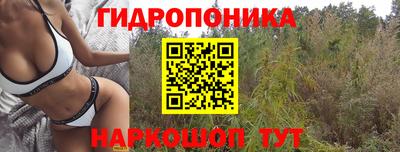 ALPHA PVP Мариинск